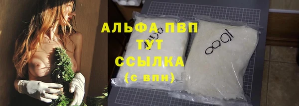 прущие грибы Арсеньев