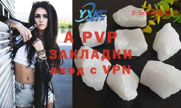 прущие грибы Арсеньев