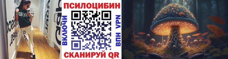 Галлюциногенные грибы Psilocybine cubensis  Купить закладки  Воркута 