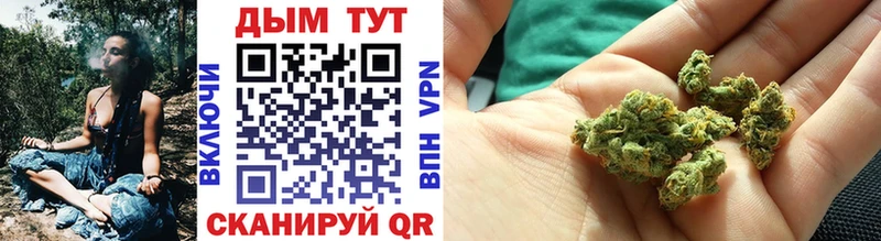 Бошки Шишки конопля  Купить где  Воркута 